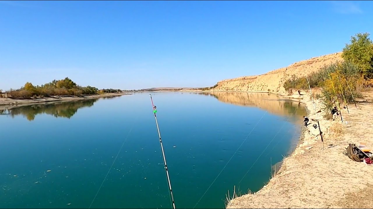 Рыбалка река Или супер место ни одной п.... - YouTube