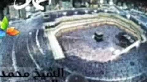 سورة التين، الشيخ محمد المحيسني