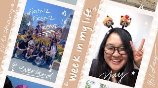 week in the life of a korean university student || korea university exchange student