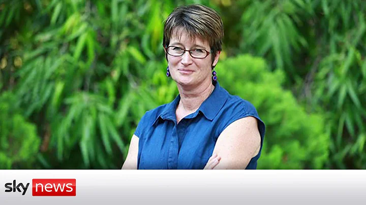 Myanmar: Former British ambassador 'arrested'