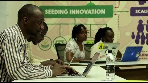 Making All Voices Count