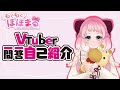 【自己紹介】VTuber一問一答自己紹介【もぐもぐぽぽまる】