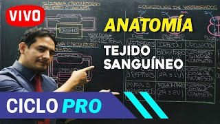 ANATOMÍA - Tejido sanguíneo [CICLO PRO]