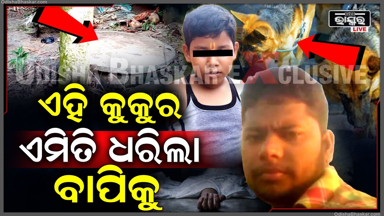 7 ଦିନ ହେବ ଆଶୁକୁ ଖୋଜୁଥିଲେ ..ଏହି କୁକୁର ଏମିତି ଧରିଲା ବାପିକୁ..ଶୁଙ୍ଘି ଶୁଙ୍ଘି ନେଇଗଲା ଟାଙ୍କି ପାଖକୁ