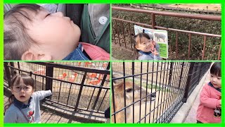Download【Vlog】動物園で大冒険!【Japanese Zoo🐼】 MP3 MP4 【Vlog】動物園で大冒険!【Japanese Zoo🐼】