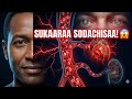 Dhukuba Sukaraa Akkamitii Dhufa Mallattoolee Fi Akkamitti Too Atamuu 