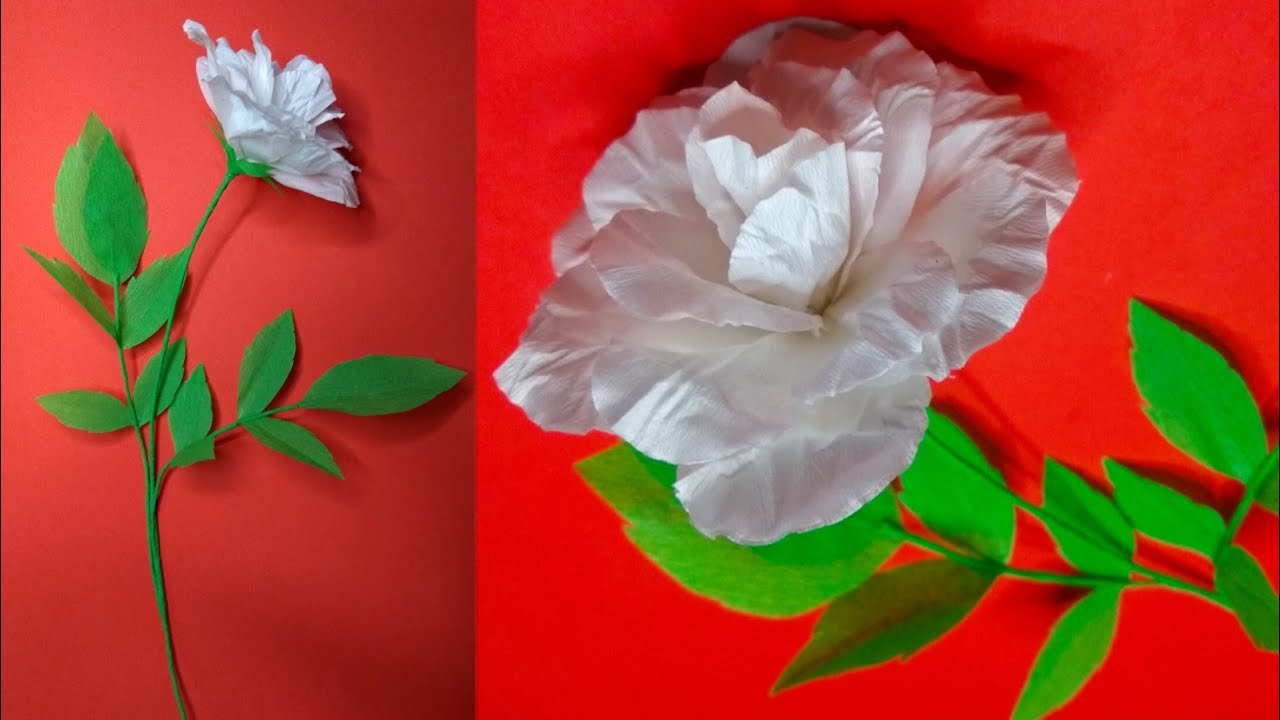 How to Make White Rose Art and Craft YouTube