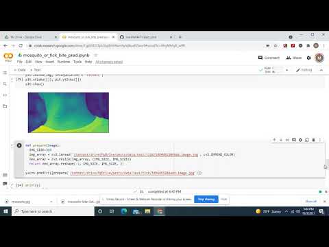 With only 47 training and 10 test imaqes train a CNN to predict tick or mosquito bite on new images