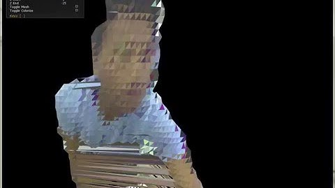 Kinect: Depth Data (2012)