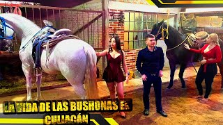 ASÍ ES LA VIDA DE LAS BUSHONAS EN CULIACAN