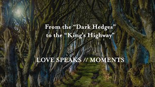 From the "Dark Hedges" to the "King's Highway" from @CarlWesleyAnderson LOVE SPEAKS // MOMENTS