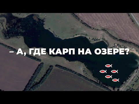 КАК НАЙТИ КАРПА НА ОЗЕРЕ