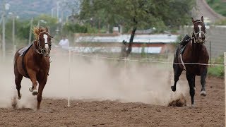 Carreras de Caballos en Huachinera  03 Agosto 2019
