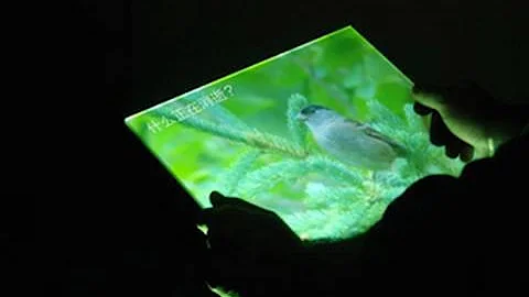 Maya Lin Uses Art to 'Save Two Birds With One Tree'