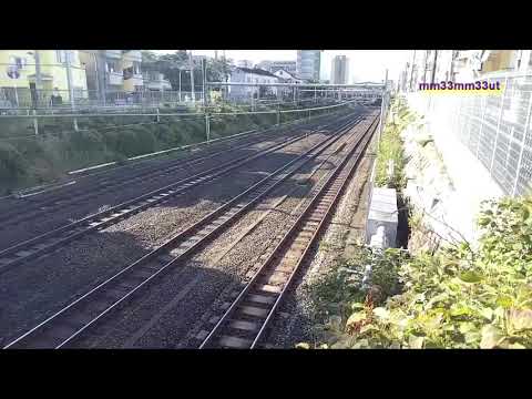 山手線内回り運休池袋目白間のようす8時15分ころ20211023通らない記録