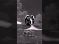 Cartoon, jéja - Why We Lose #aveeplayer #fypシ #music #song #ncs #nostalgia #nocopyrightmusic