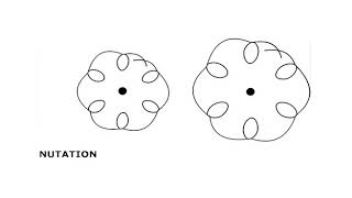 Terminal ballistics - 2 (CH-06) #swayamprabha