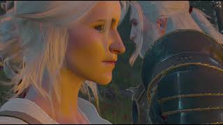the witcher 3 vesemir's death