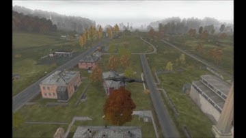 DayZ - Flying Bird Glitch