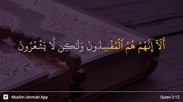 سوره بقره، آیه ۱۲