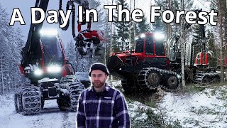 A day as a forest machine operator 2 | Sweden