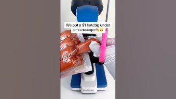 $1 Hotdog Under a #Microscope 🤯