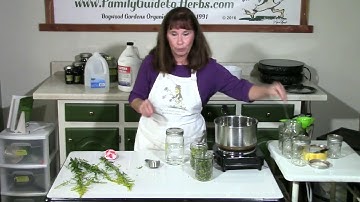 Making Golden Rod Glycerin Tincture