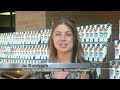 Kemps, Pick 'n Save donate 55,000 milk cartons to Second Harvest Foodbank of Southern Wisconsin