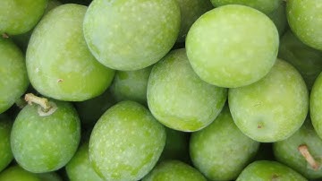 Spray sorting machine for olives | RAYTEC VISION SpA