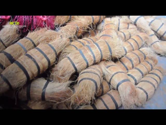 Tawashi Brush Manufacturing Process Sri Lanka