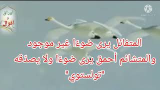 اقوال الحكماء عن السعادة