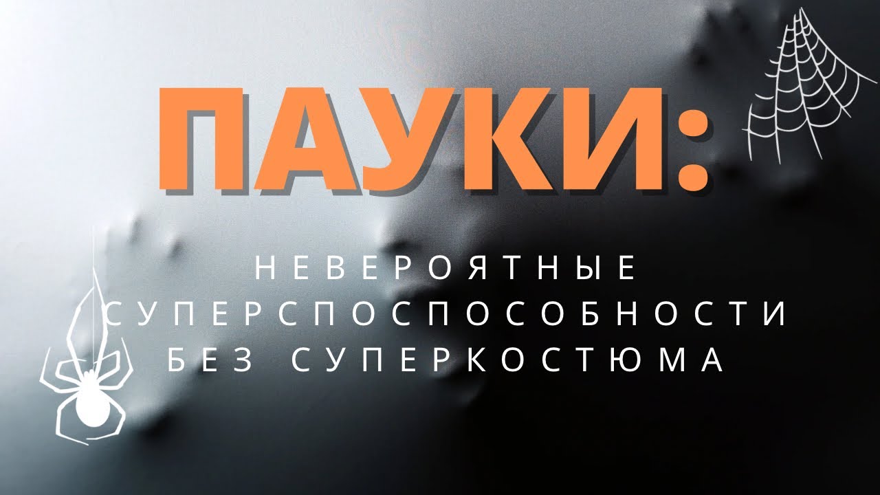 Паук - не насекомое! Кто же он? 