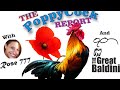 The CockyPop Report - 10-20-2020