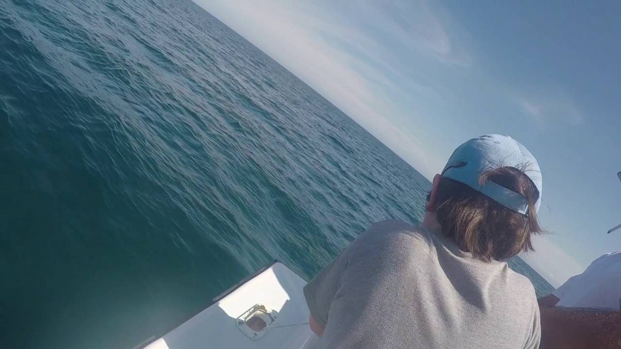 Awesome Ocean Action with Dockoar Fishing Charters (Giant Fish!)