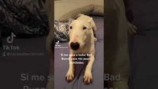 Sacando Mis Pasos Prohibidos