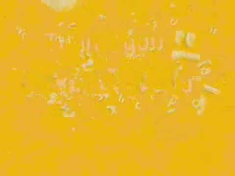 รักเธอ 24 ชั่วโมง Cover by.Garfield