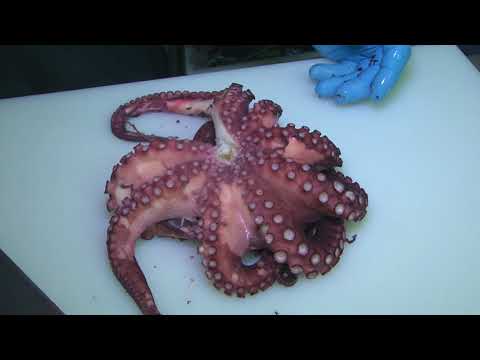 Come preparare l'insalata di polpo