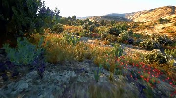 Shrubs & Bushes - Unreal Engine 5.1 @masinformation