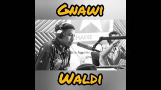 Gnawi -2020, LWASSIYA / waldi..ولدي [officiel music]..