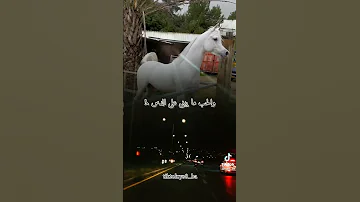 سكت عنك وقلت لاباس 