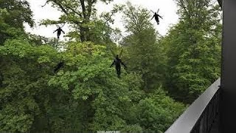 The Fae Trees | LIGHTWAVE CGI 3D ANIMATION