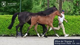 Elliot de l'Equipe Z