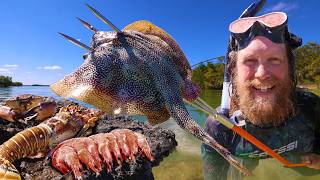 Catch & Cook Spiny Lobster, Stone Crab, Shrimp, Sting Ray Spearfishing | Florida Keys Episode 2