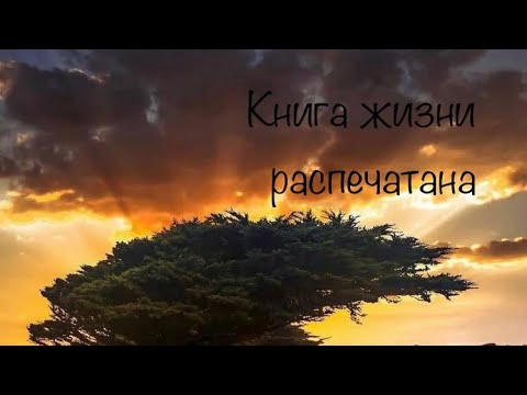 Просветление. Книга жизни распечатана