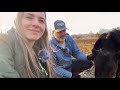 First Signs of Spring! Busy Day on the Farm + Calf Health Check | Midwest Homesteading