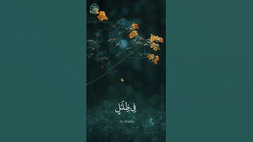 تلاوة:‏ إِنَّ أَصْحَابَ الْجَنَّةِ الْيَوْمَ فِي شُغُلٍ فَاكِهُونَ 🤍🍃. القارئ🎙: هيثم الجدعاني 🤍🍃.