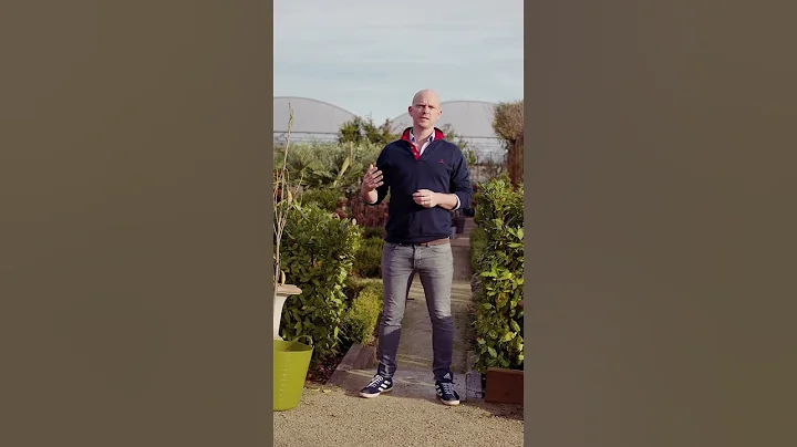 What To Avoid During Bare Root Season | Carewswood Garden Centre Café