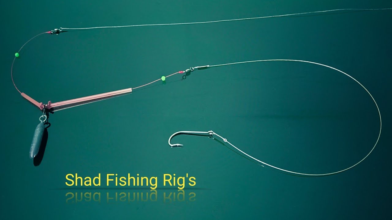 You must see this! How to tie a shad rig or hopping rig #otodidak7