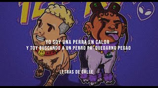 J BALVIN x TOKISCHA - PERRA (Letra/Lyrics)