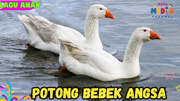 🔴POTONG BEBEK ANGSA LAGU ANAK INDONESIA